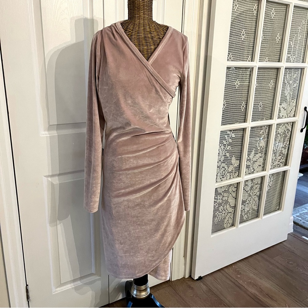 ARITZIA Wilfred Free Klum Velvet Dress Size M